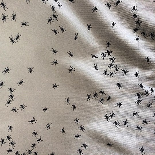 shameless-elena-borghi-ants-fabric